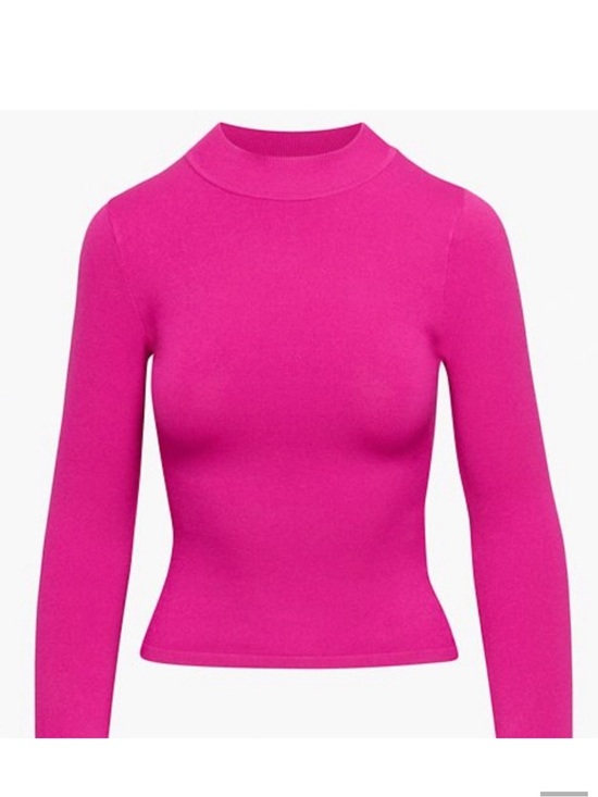 Aritzia Tops - Aritzia Babaton Astrid Sculpt Knit
Mock neck Longsleeve